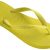 Citrus Yellow